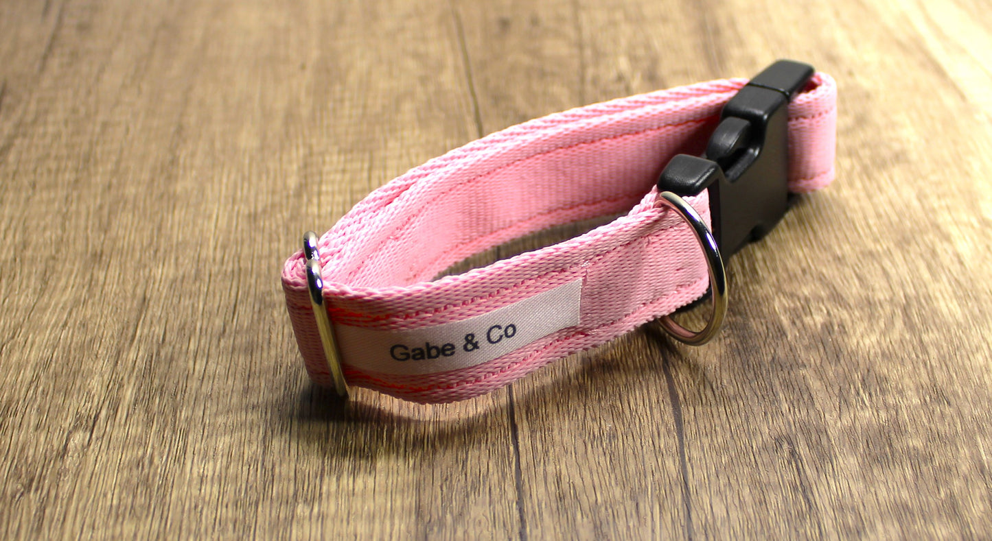 25mm Dog Collars- Small