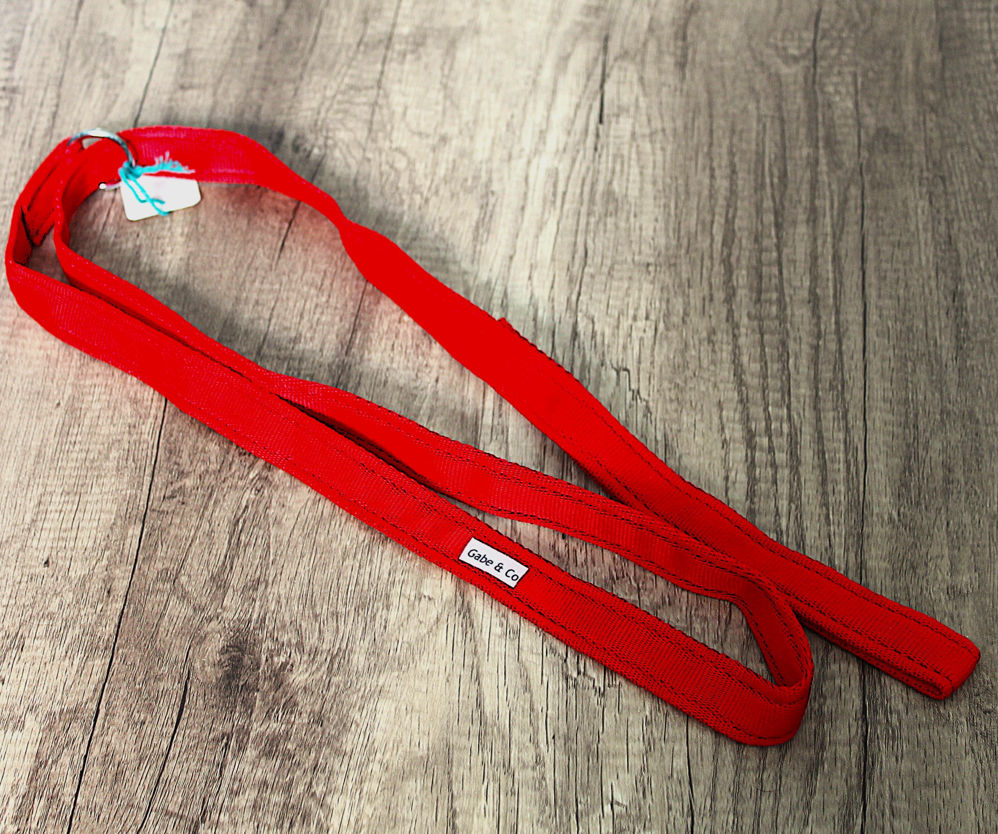 25mm Rescue Slip Lead