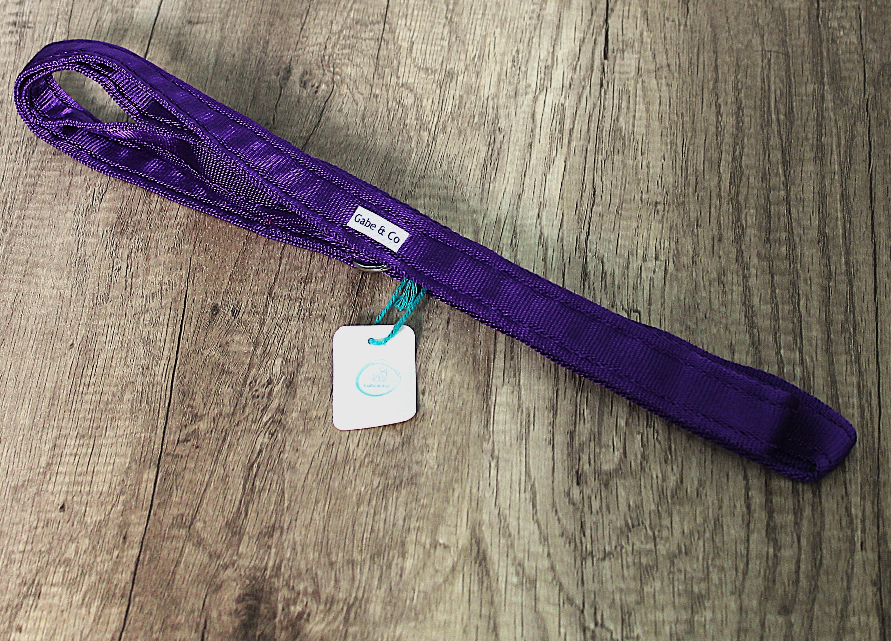 25mm Rescue Slip Lead