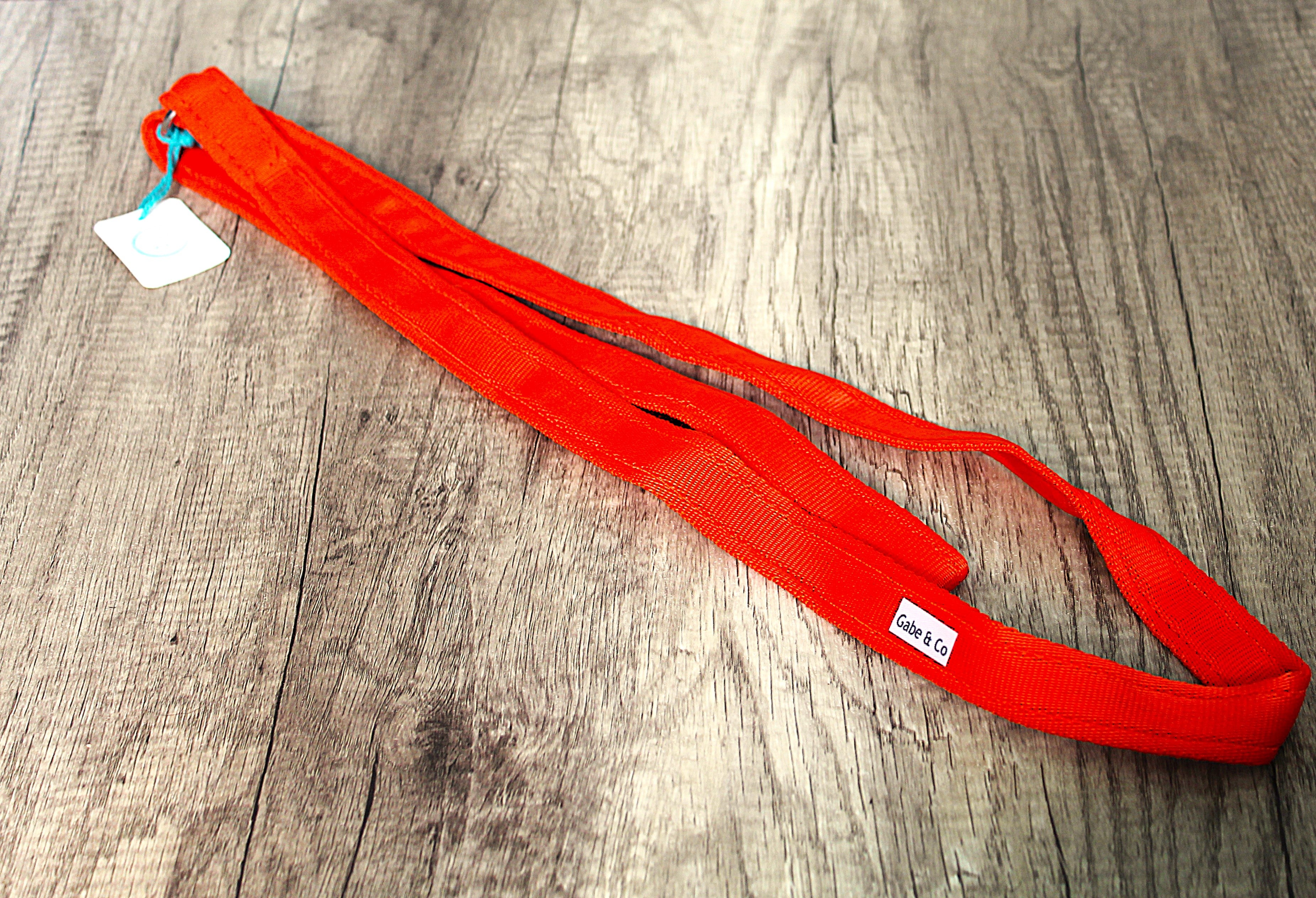 25mm Rescue Slip Lead