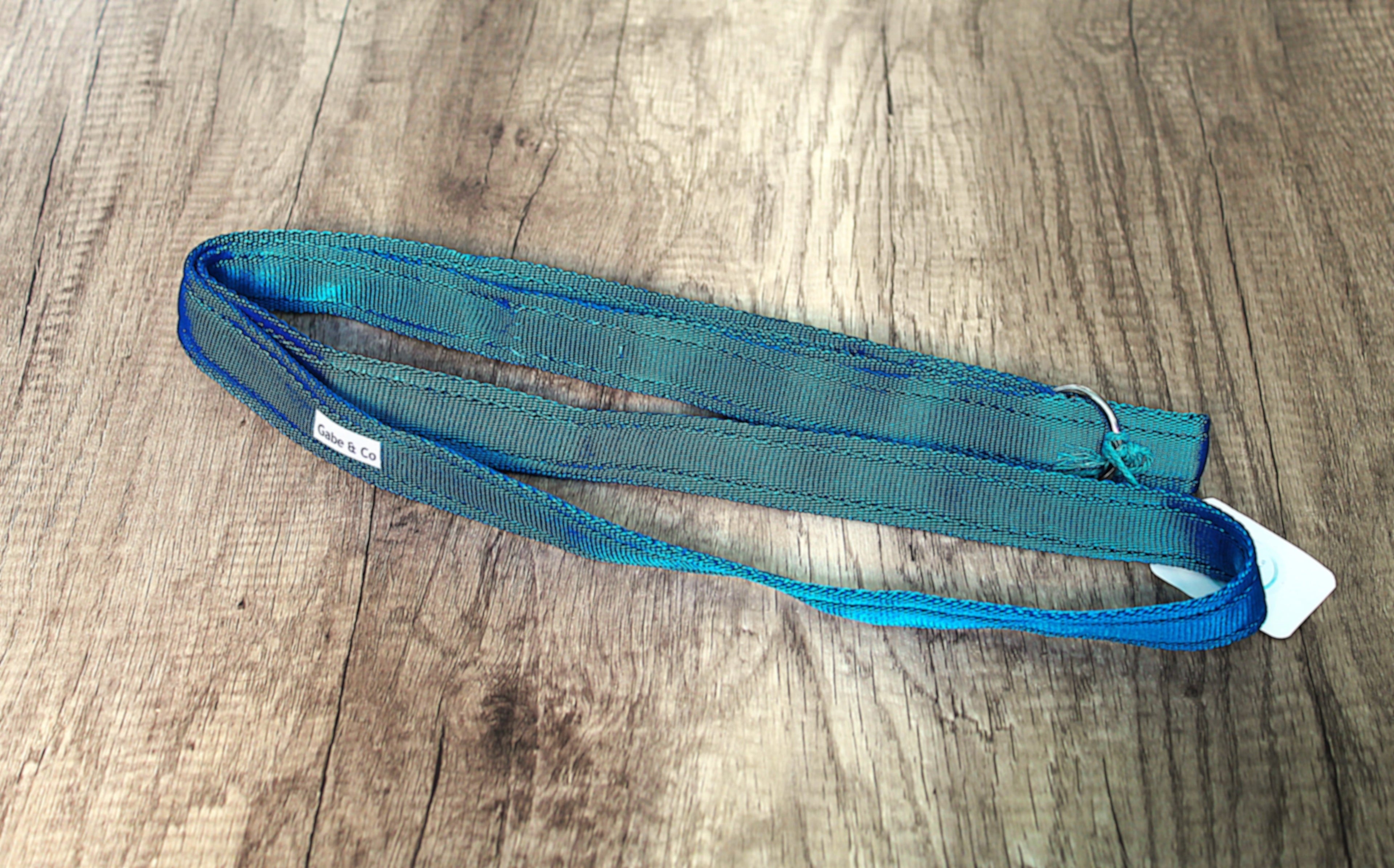 25mm Rescue Slip Lead
