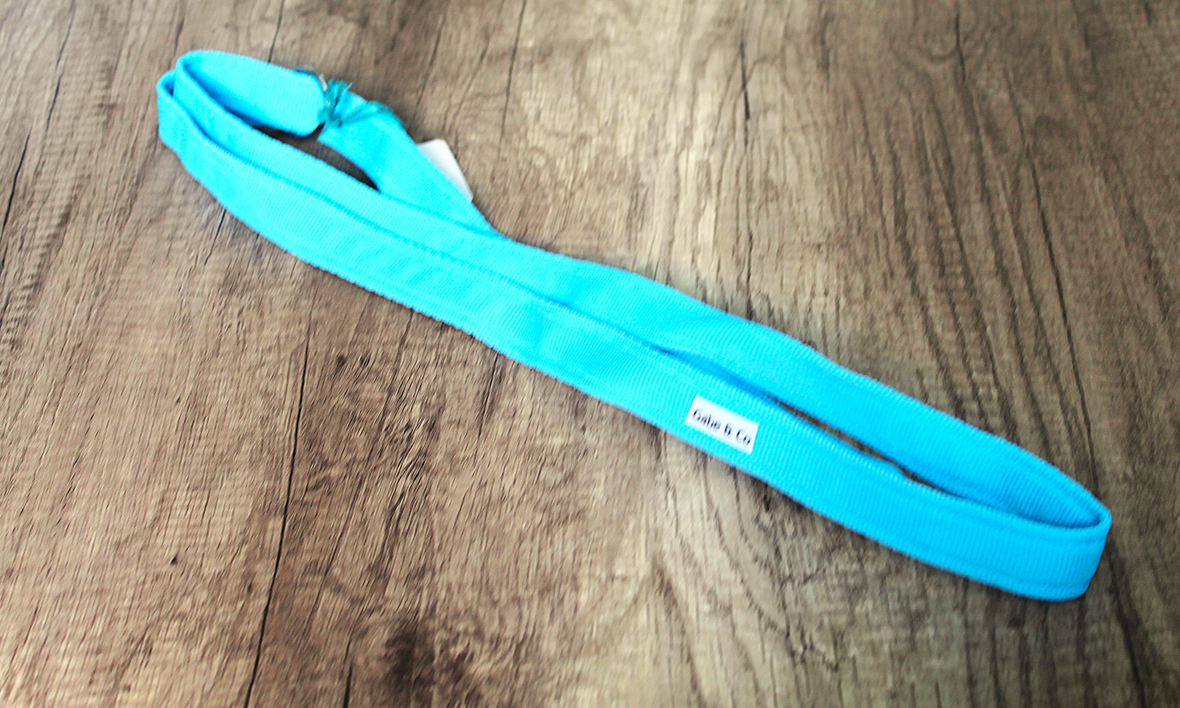 25mm Rescue Slip Lead