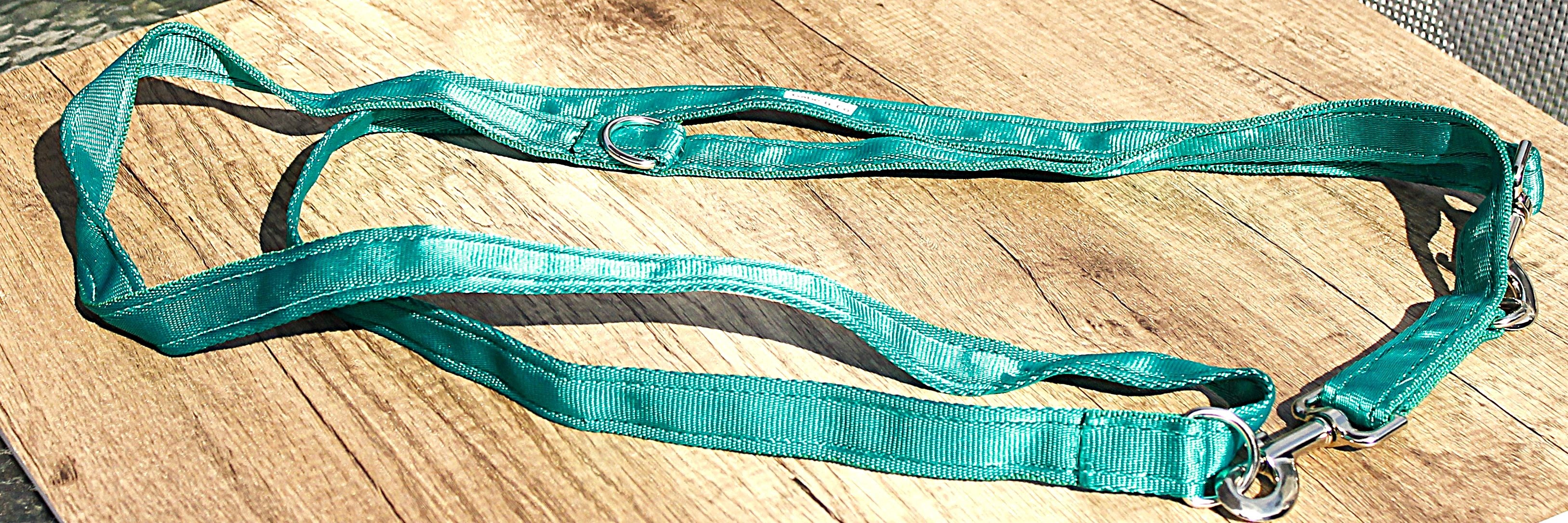 25mm Double Training Lead