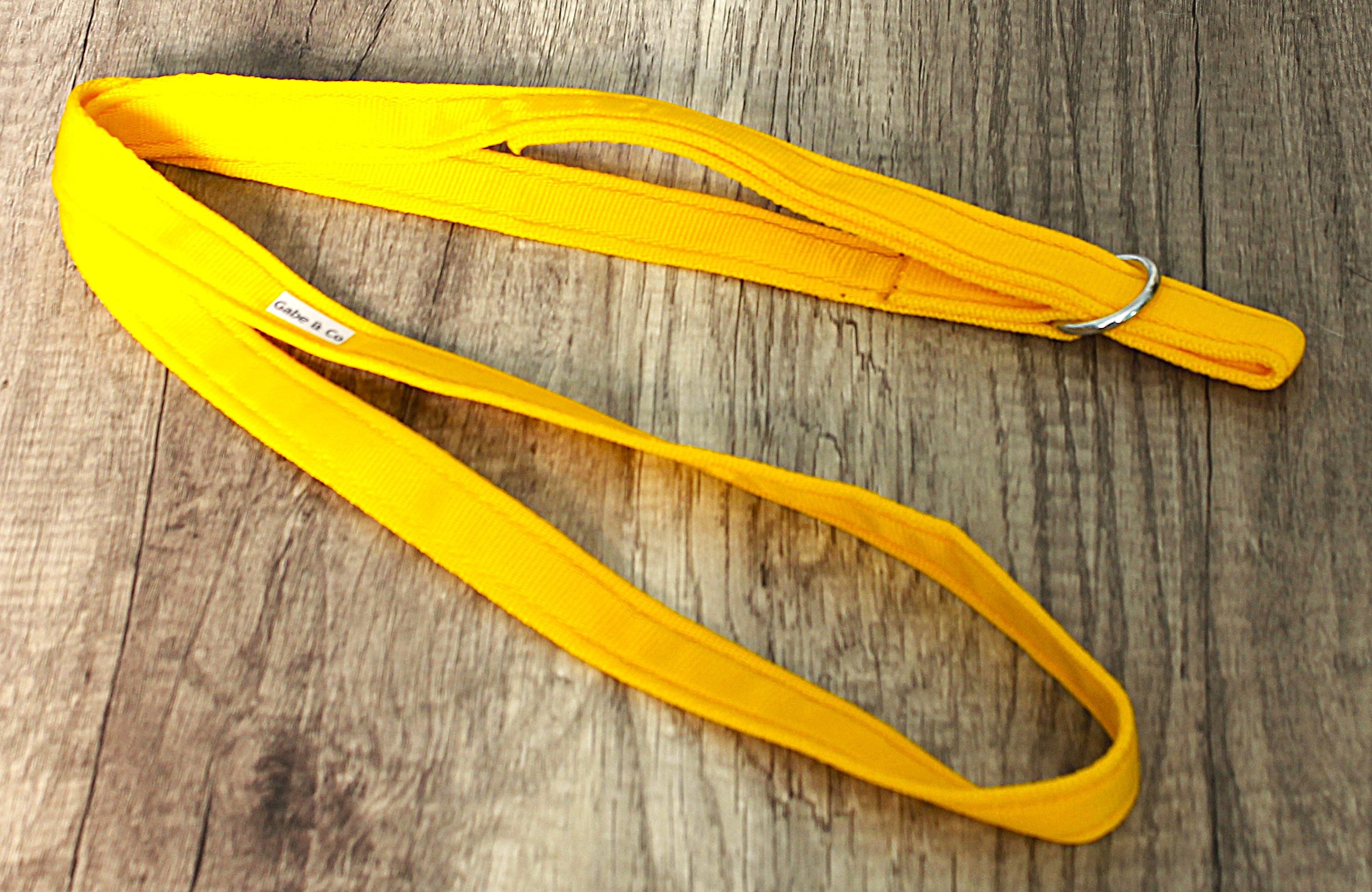 25mm Rescue Slip Lead