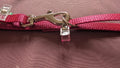 Puppy Lead