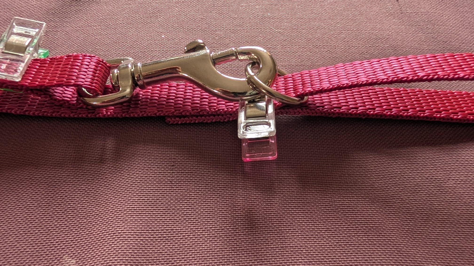 Puppy Lead