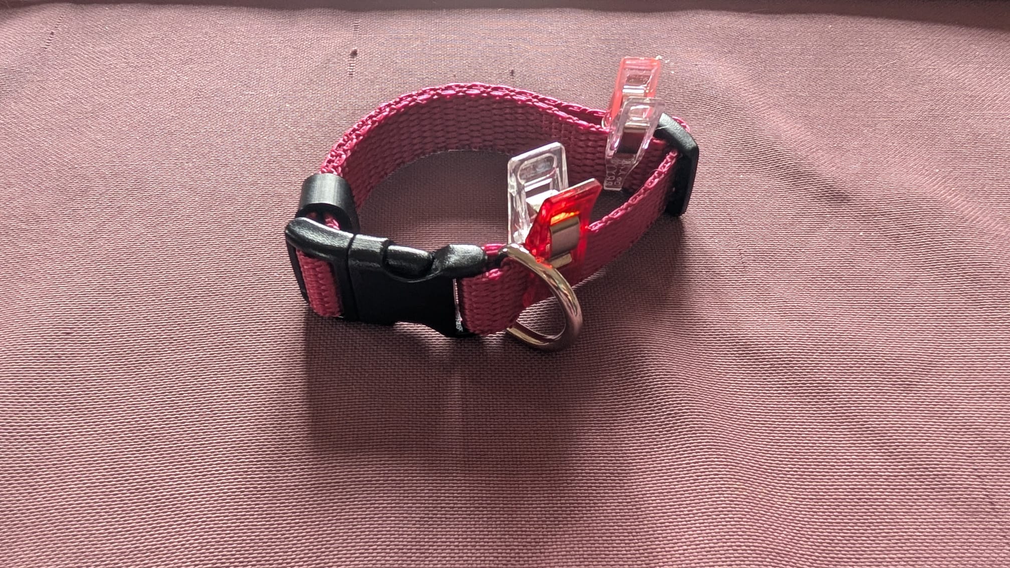 Puppy/ X-Small Collar