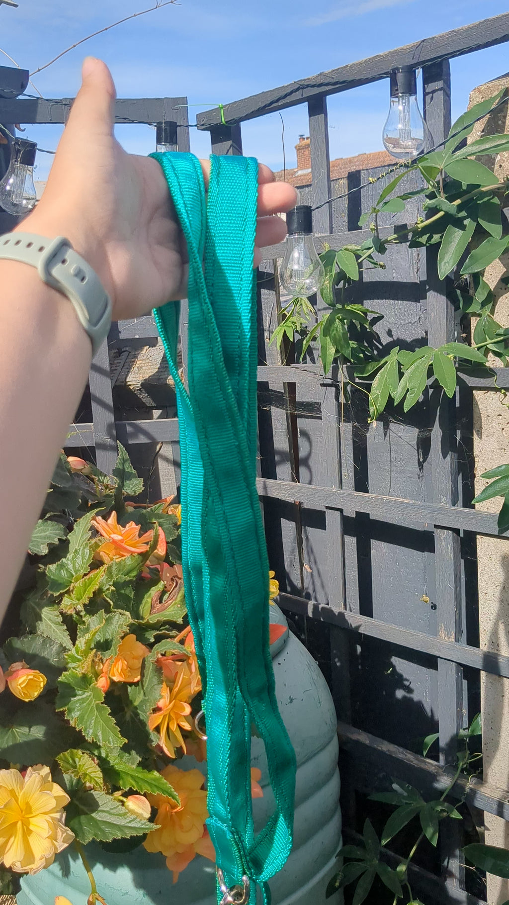 25mm Double Training Lead